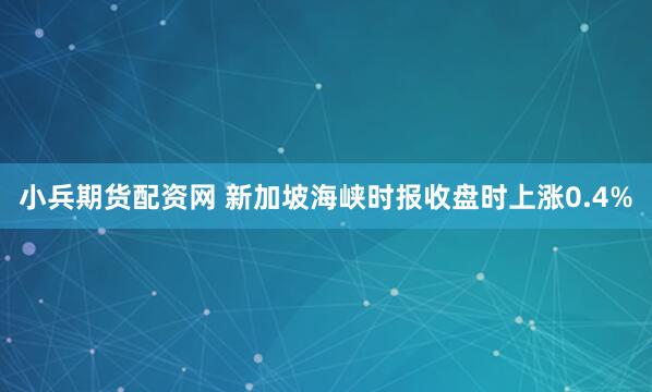 小兵期货配资网 新加坡海峡时报收盘时上涨0.4%