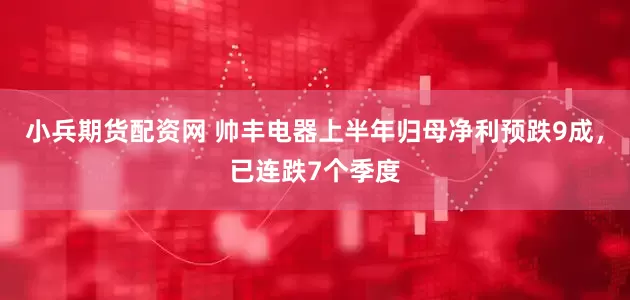 小兵期货配资网 帅丰电器上半年归母净利预跌9成，已连跌7个季度