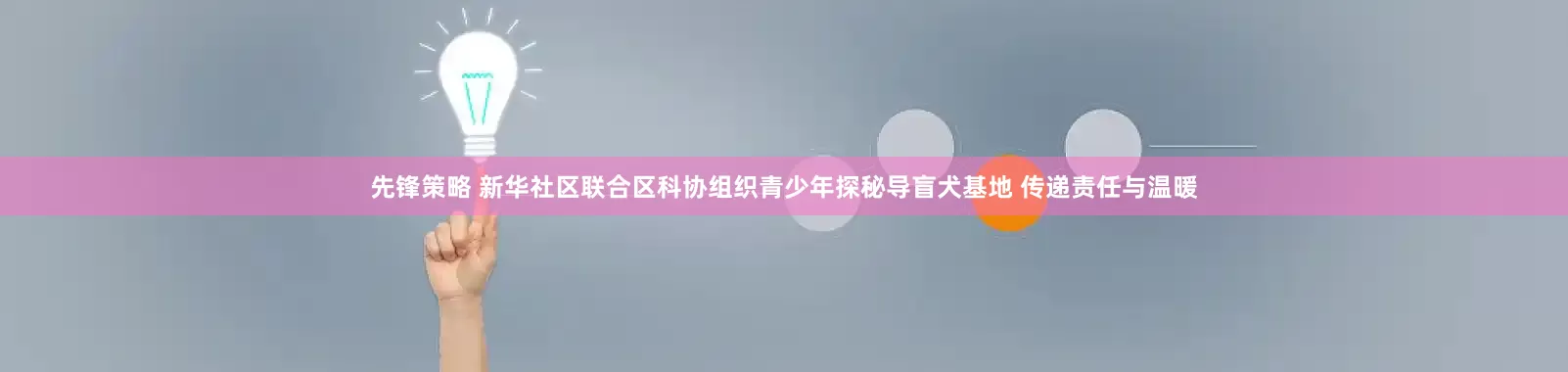 先锋策略 新华社区联合区科协组织青少年探秘导盲犬基地 传递责任与温暖