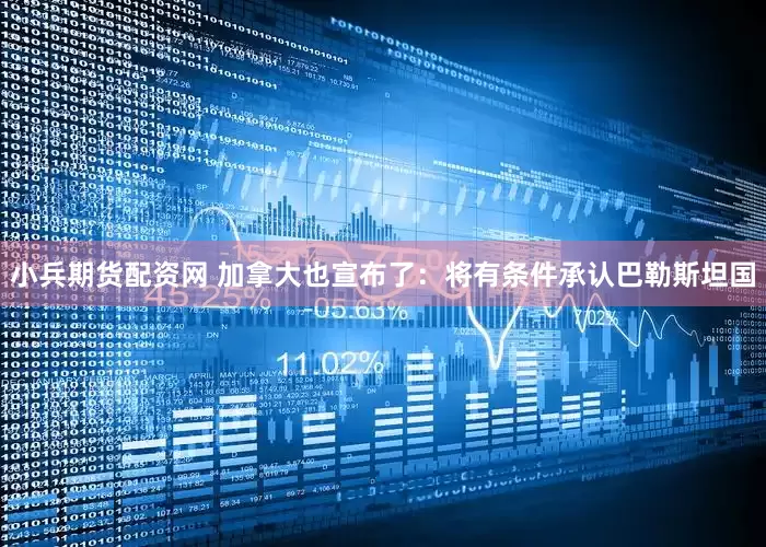 小兵期货配资网 加拿大也宣布了：将有条件承认巴勒斯坦国