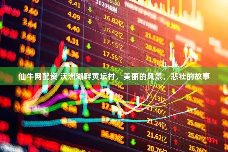 仙牛网配资 沃洲湖畔黄坛村，美丽的风景，悲壮的故事